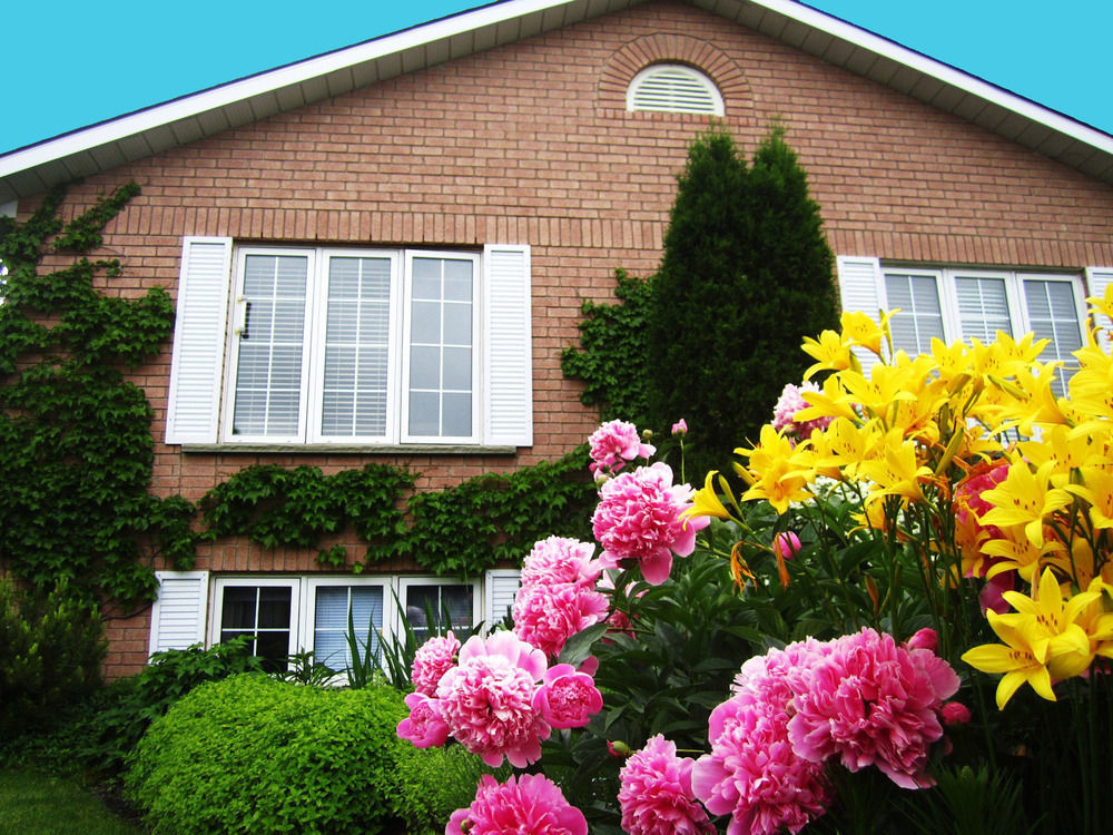 Opus 74 Bed & Breakfast Stratford Bagian luar foto